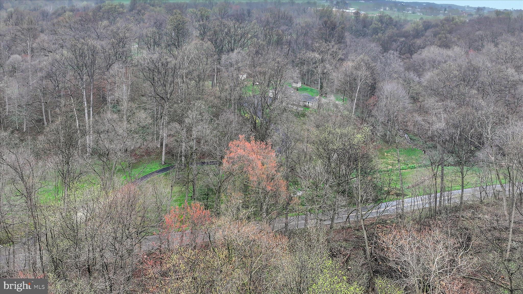1534 Benton Hollow Road Drumore, PA 17518 - Photo 11 of 50 a backyard of a house with lots of green space