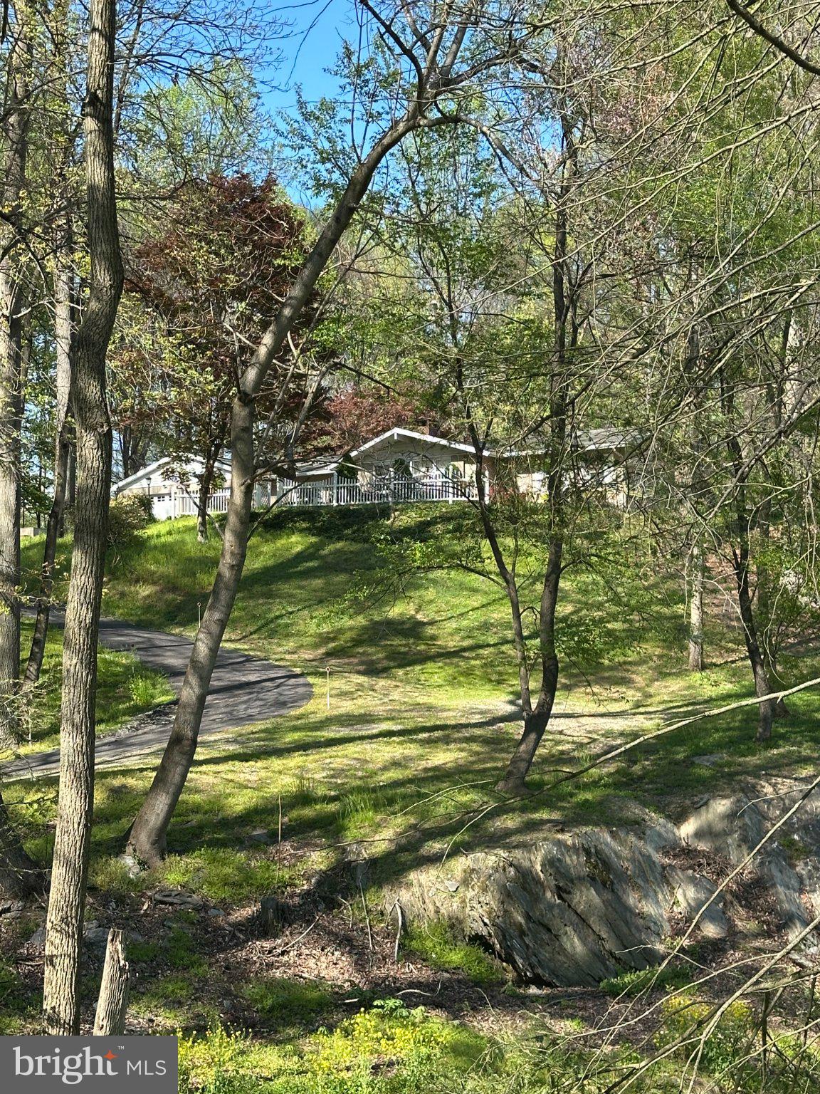 1534 Benton Hollow Road Drumore, PA 17518 - Photo 49 of 50 a view of a yard with a tree
