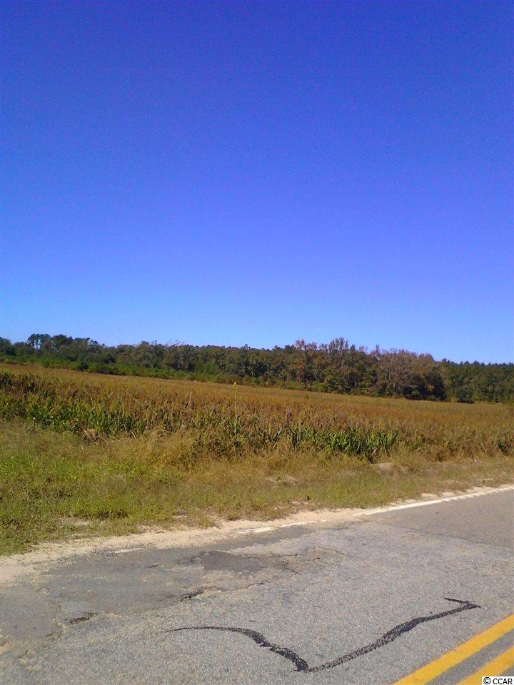 34-ac 34-ac Wilson Road Hemingway, SC 29554 - Photo 2 of 2