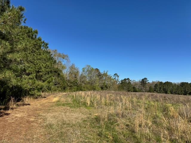 0 Macedonia Ch Road Columbia, AL 36319 - Photo 22 of 61