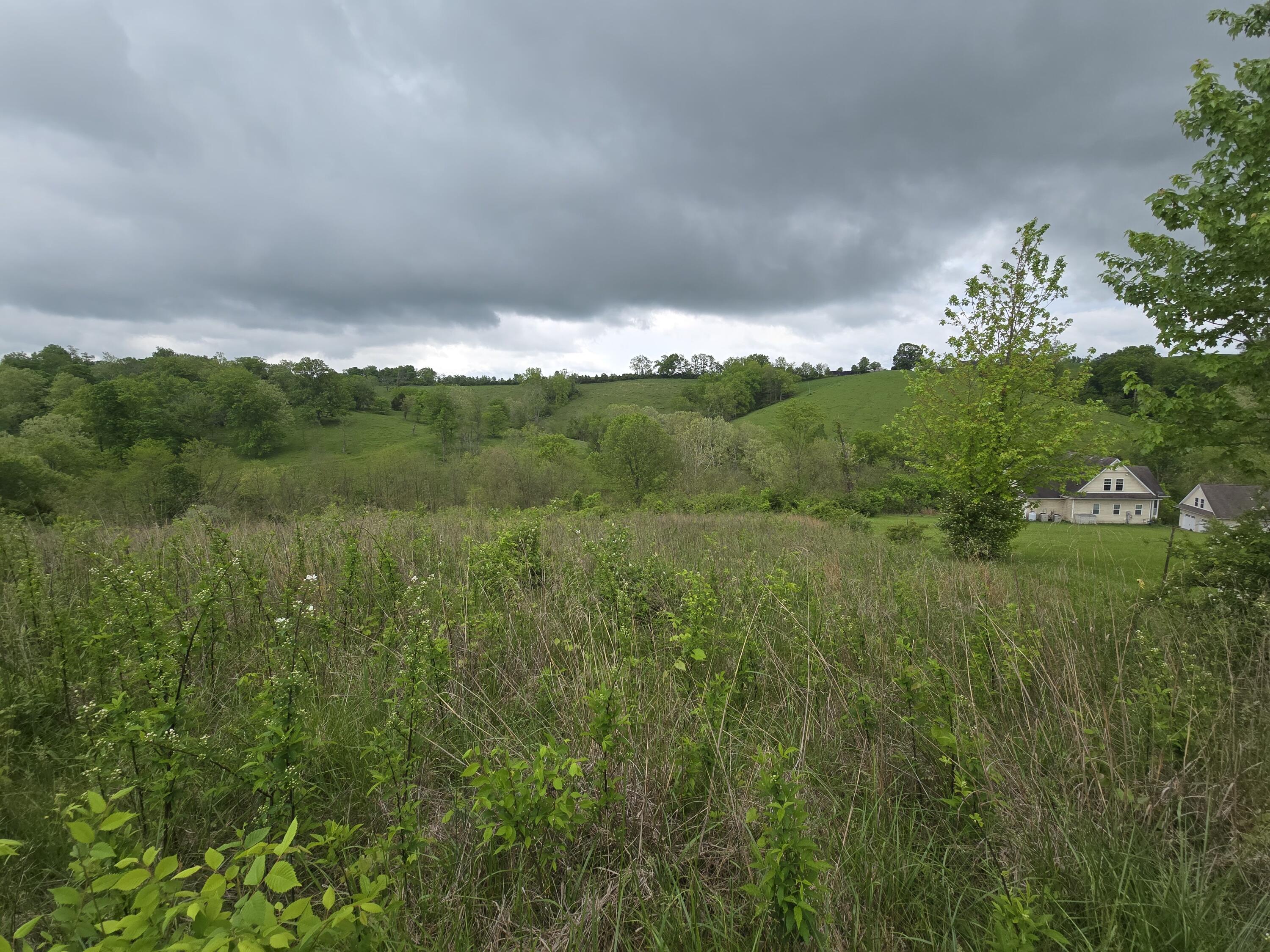 396 Pilot View Road Winchester, KY 40391 - Photo 5 of 10 20240506_123508-4