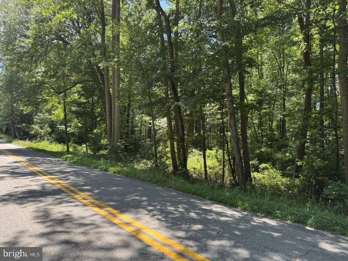 0 Lone Pine Road Crewe, VA 23930 - Photo 14 of 21