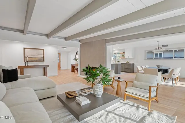 a living room with furniture potted plant and a table