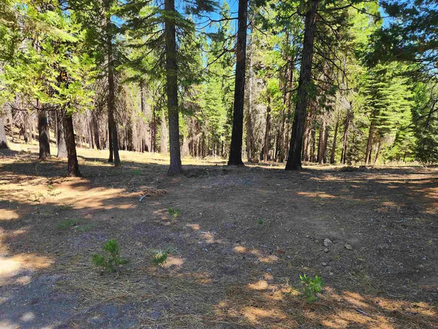 $79,000 | 135 Goose Bay Vw Trail, Lake Almanor West, CA 96020