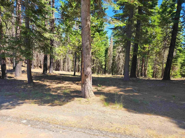 $79,000 | 135 Goose Bay Vw Trail, Lake Almanor West, CA 96020