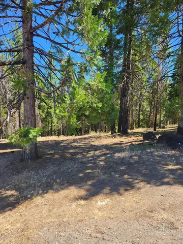 $79,000 | 135 Goose Bay Vw Trail, Lake Almanor West, CA 96020