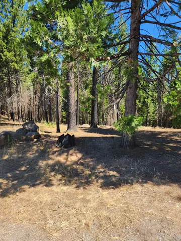 $79,000 | 135 Goose Bay Vw Trail, Lake Almanor West, CA 96020