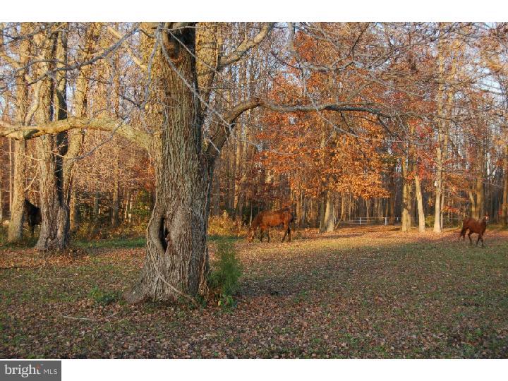 3255 7 Hickories Road Dover, DE 19904 - Photo 2 of 12 Gallery Image 2