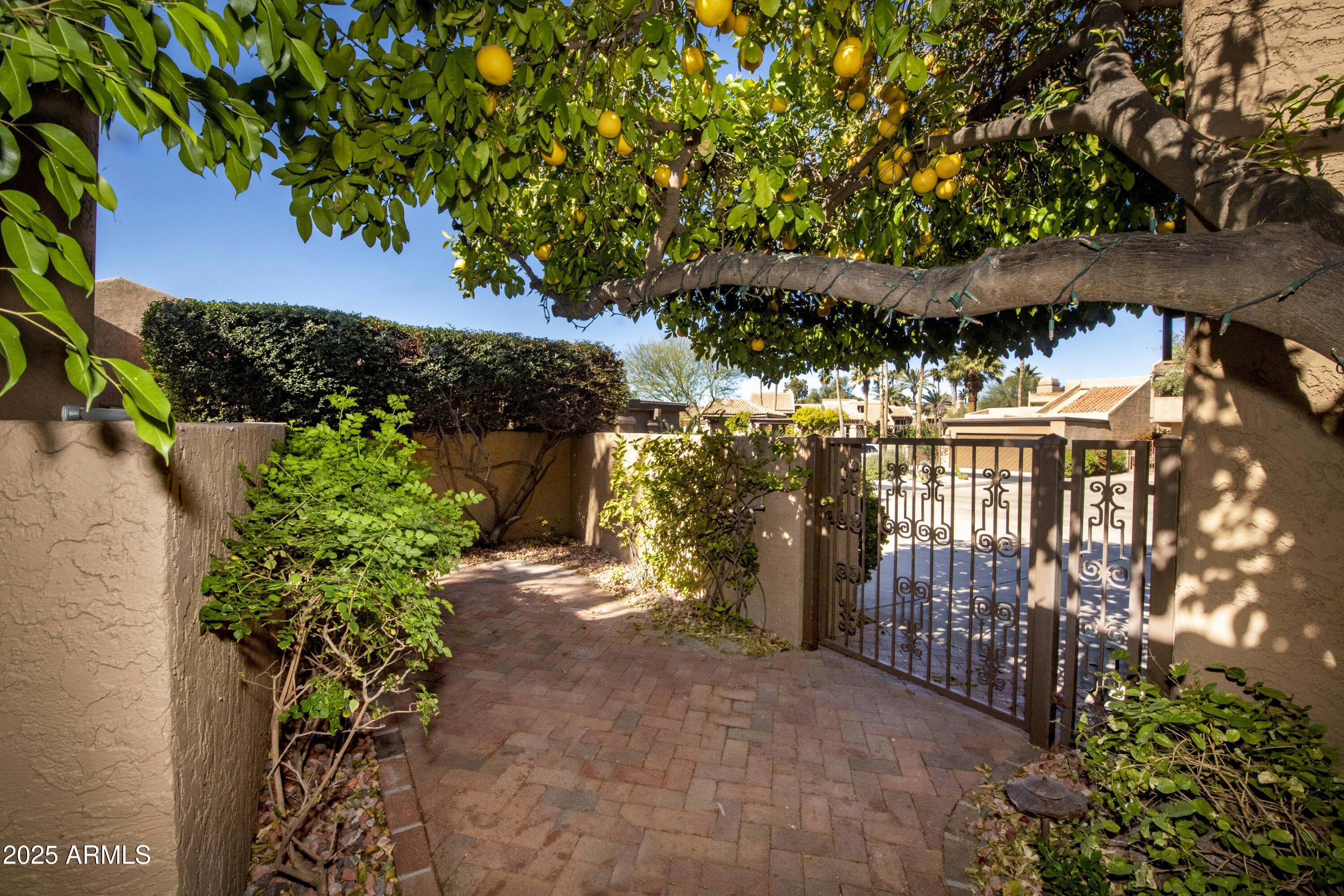 4446 East Camelback Road, Unit 109 Phoenix, AZ 85018 - Photo 3 of 42 a view of a pathway with a tree