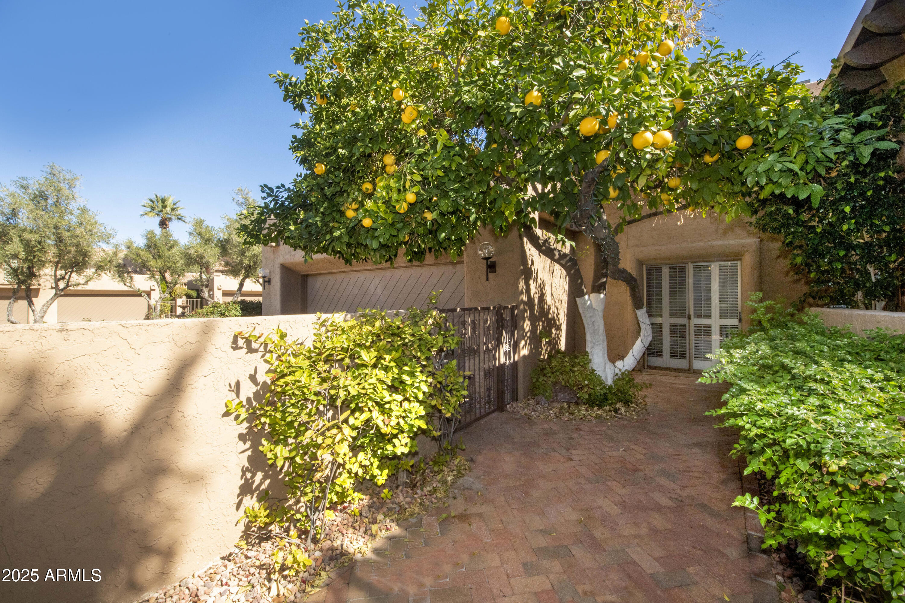 4446 East Camelback Road, Unit 109 Phoenix, AZ 85018 - Photo 4 of 42 a front view of a house with garden