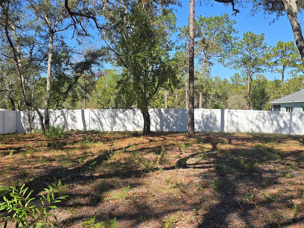 12437 Harris Hawk Road Weeki Wachee, FL 34614 - Photo 2 of 10