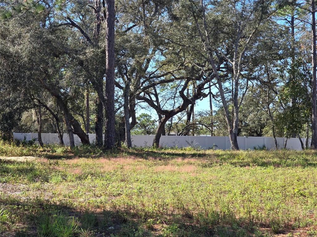 12437 Harris Hawk Road Weeki Wachee, FL 34614 - Photo 4 of 10