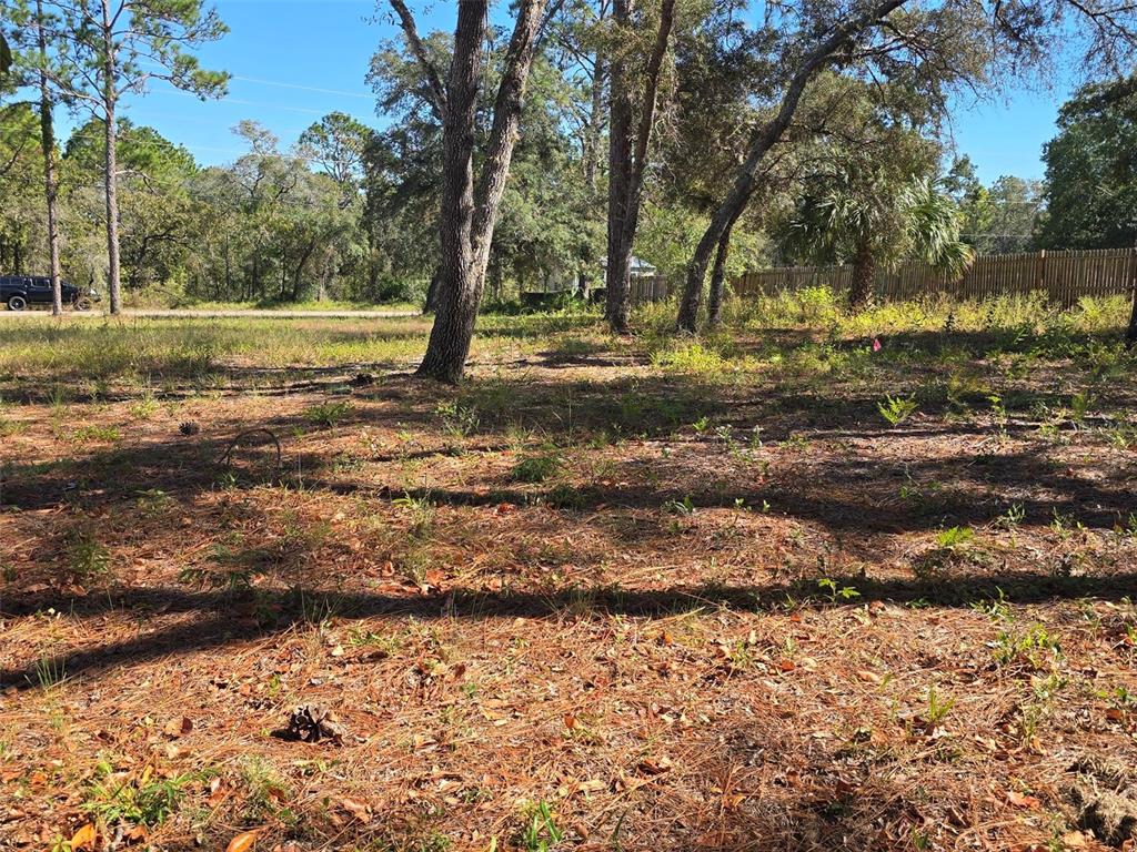 12437 Harris Hawk Road Weeki Wachee, FL 34614 - Photo 5 of 10