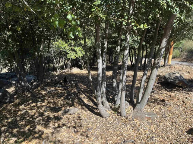 a view of outdoor space