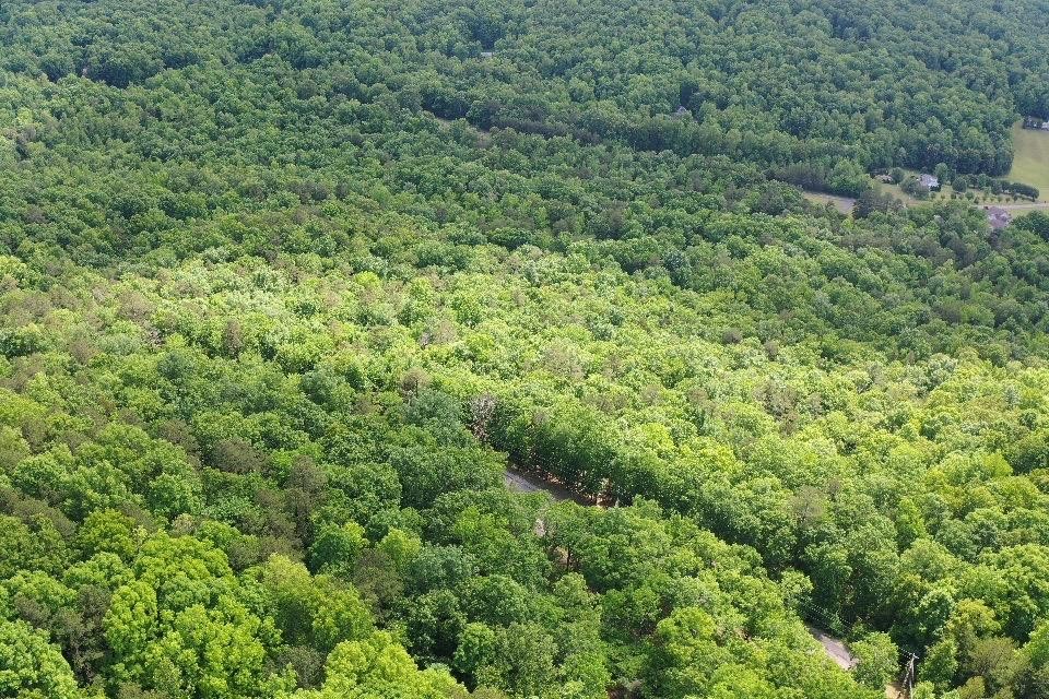 25 Bluffs Road North Guild, TN 37340 - Photo 21 of 25 Gallery Image 21