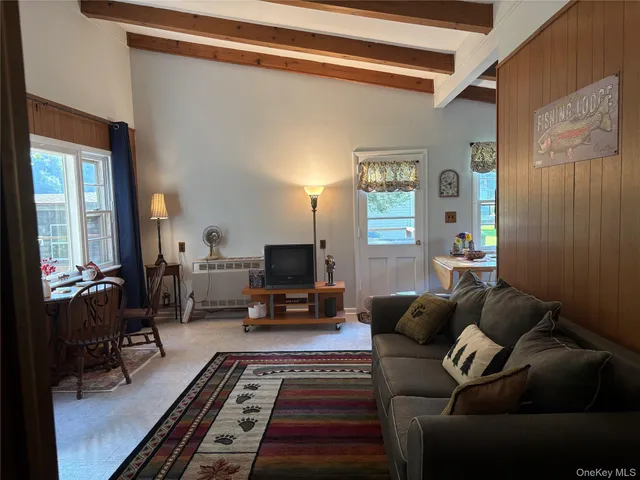 a living room with furniture and a rug