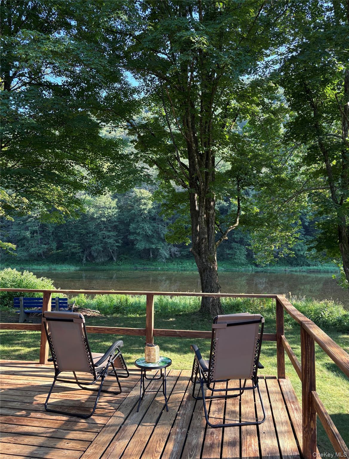 205 Long Flats Road East Branch, NY 13756 - Photo 14 of 14 a view of a lake with wooden deck and outdoor seating