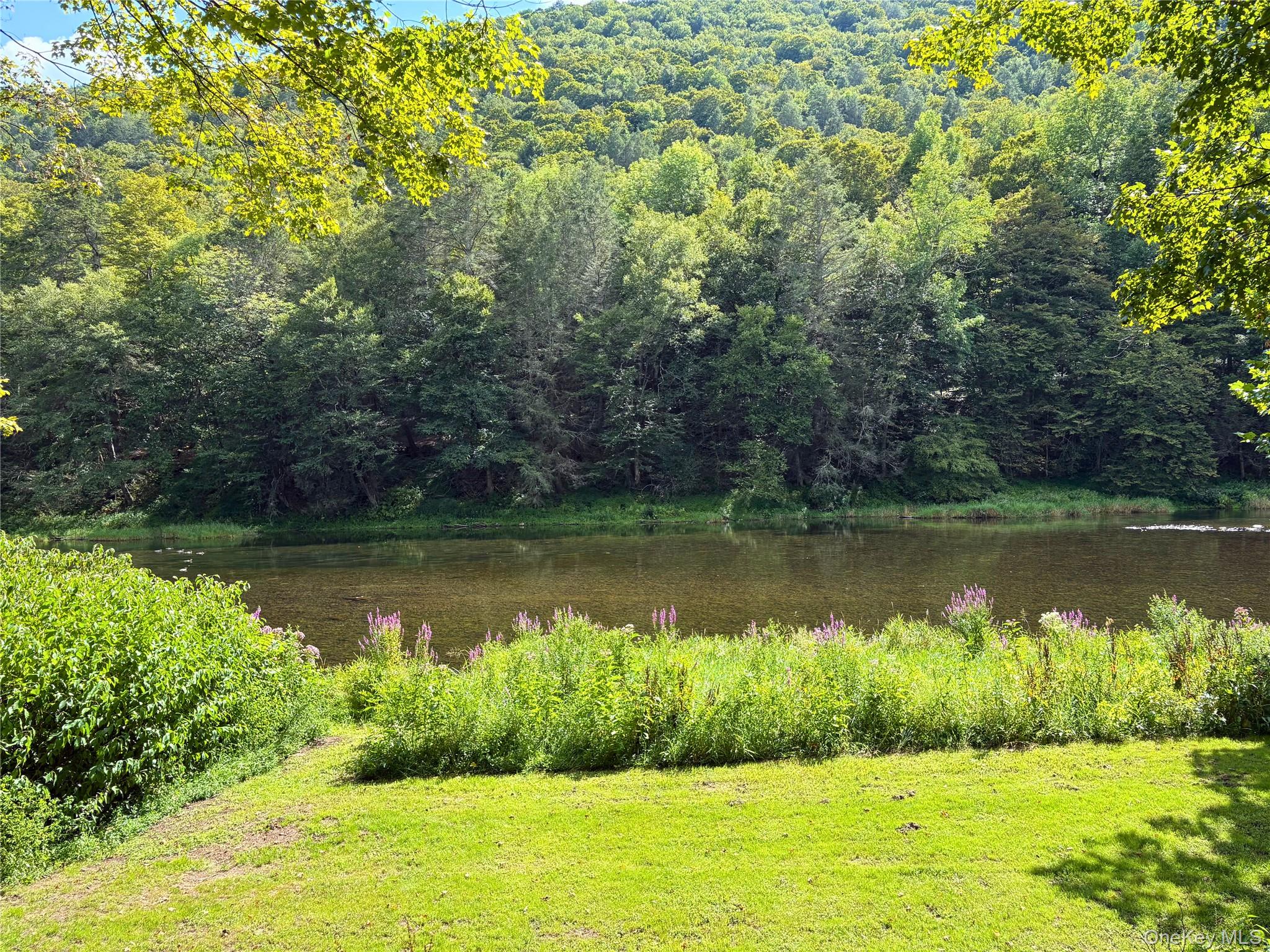 205 Long Flats Road East Branch, NY 13756 - Photo 2 of 14 a view of lake with green space