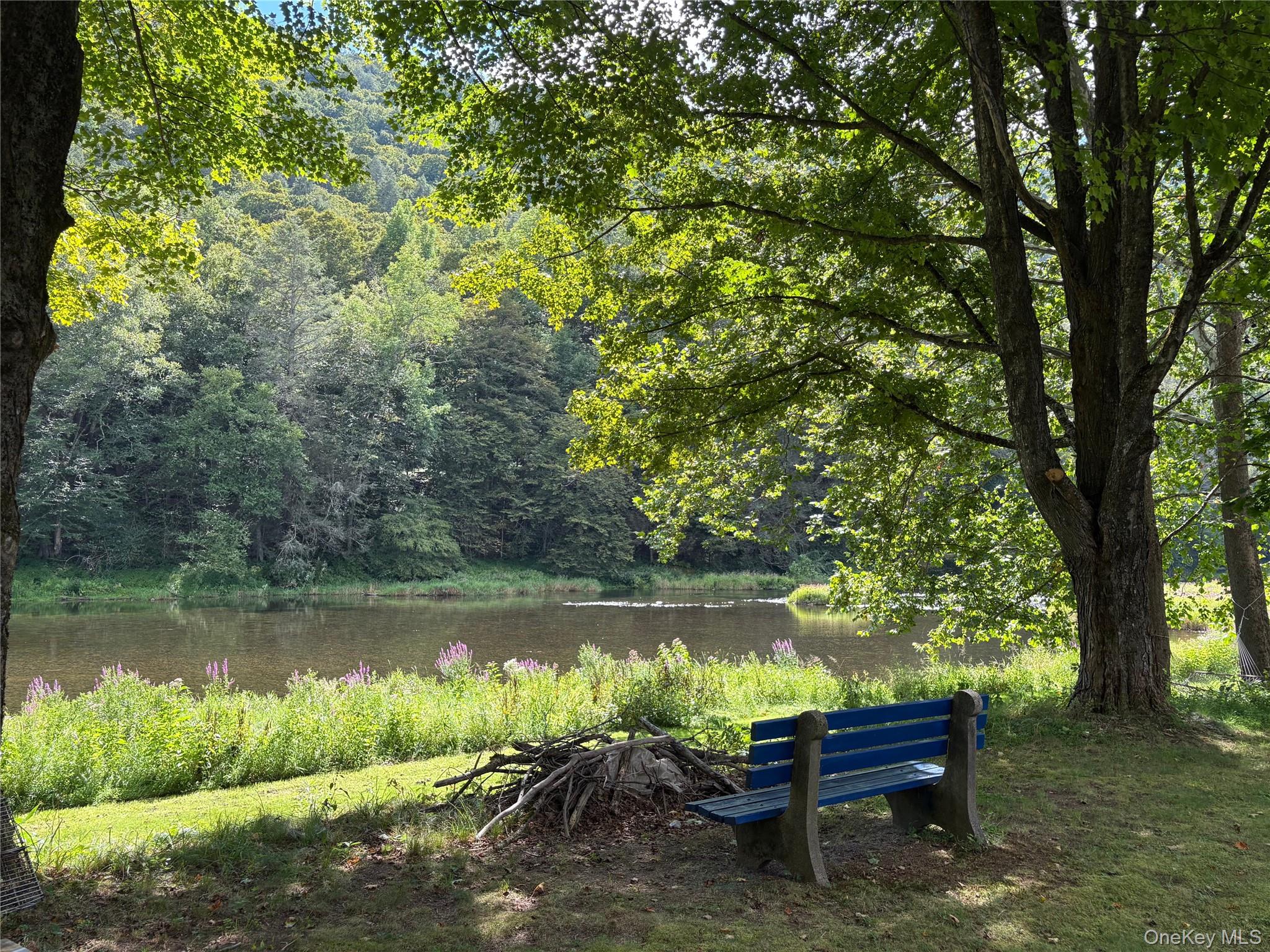 205 Long Flats Road East Branch, NY 13756 - Photo 3 of 14 a view of a lake with outdoor space