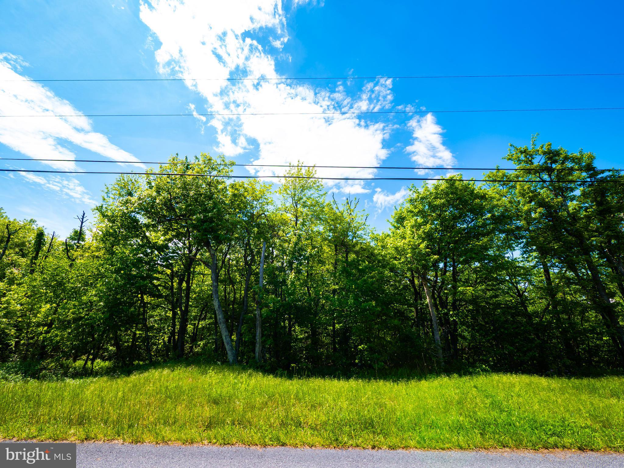 Lot 14 Timber Ridge Trail Winchester, VA 22602 - Photo 3 of 5 a view of a yard