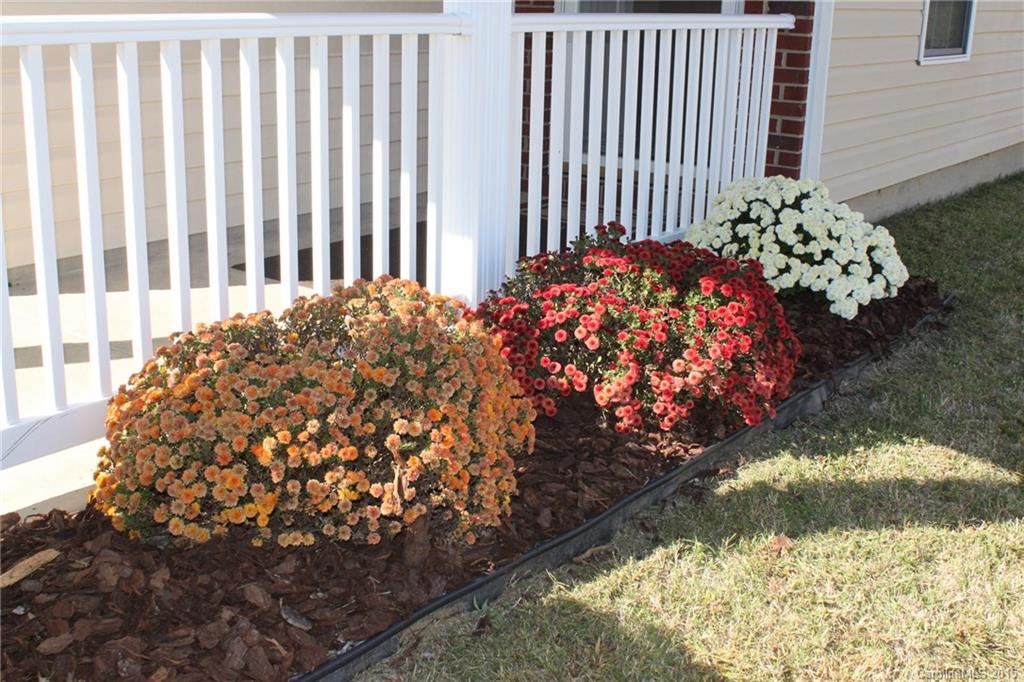 3029 Rockingham Court Southwest Concord, NC 28025 - Photo 3 of 20