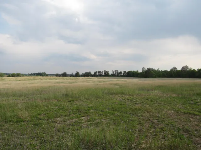 $110,000 | Tbd 12th Street Southwest, Backus, MN 56435