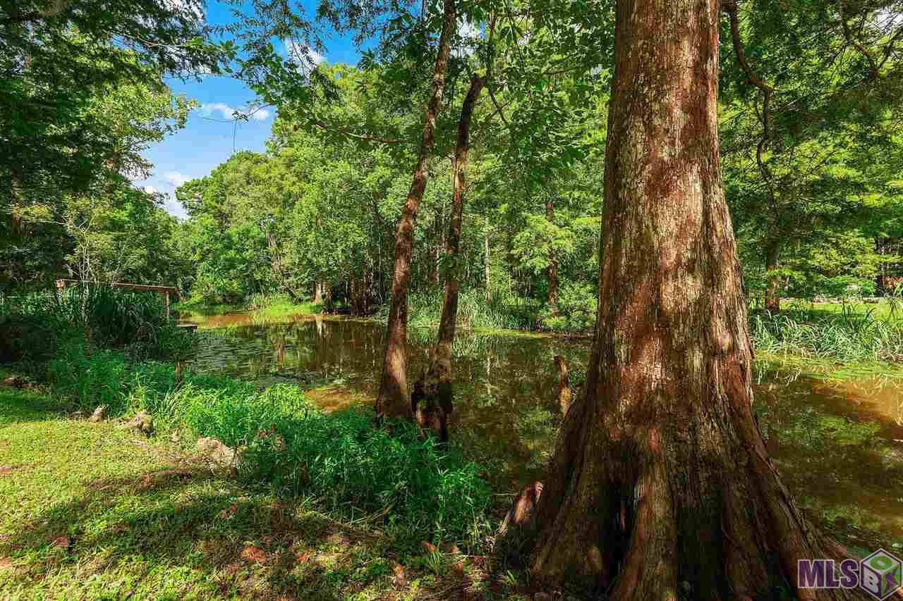 16930 South Goodtime Road French Settlement, LA 70733 - Photo 16 of 17 Gallery Image 16