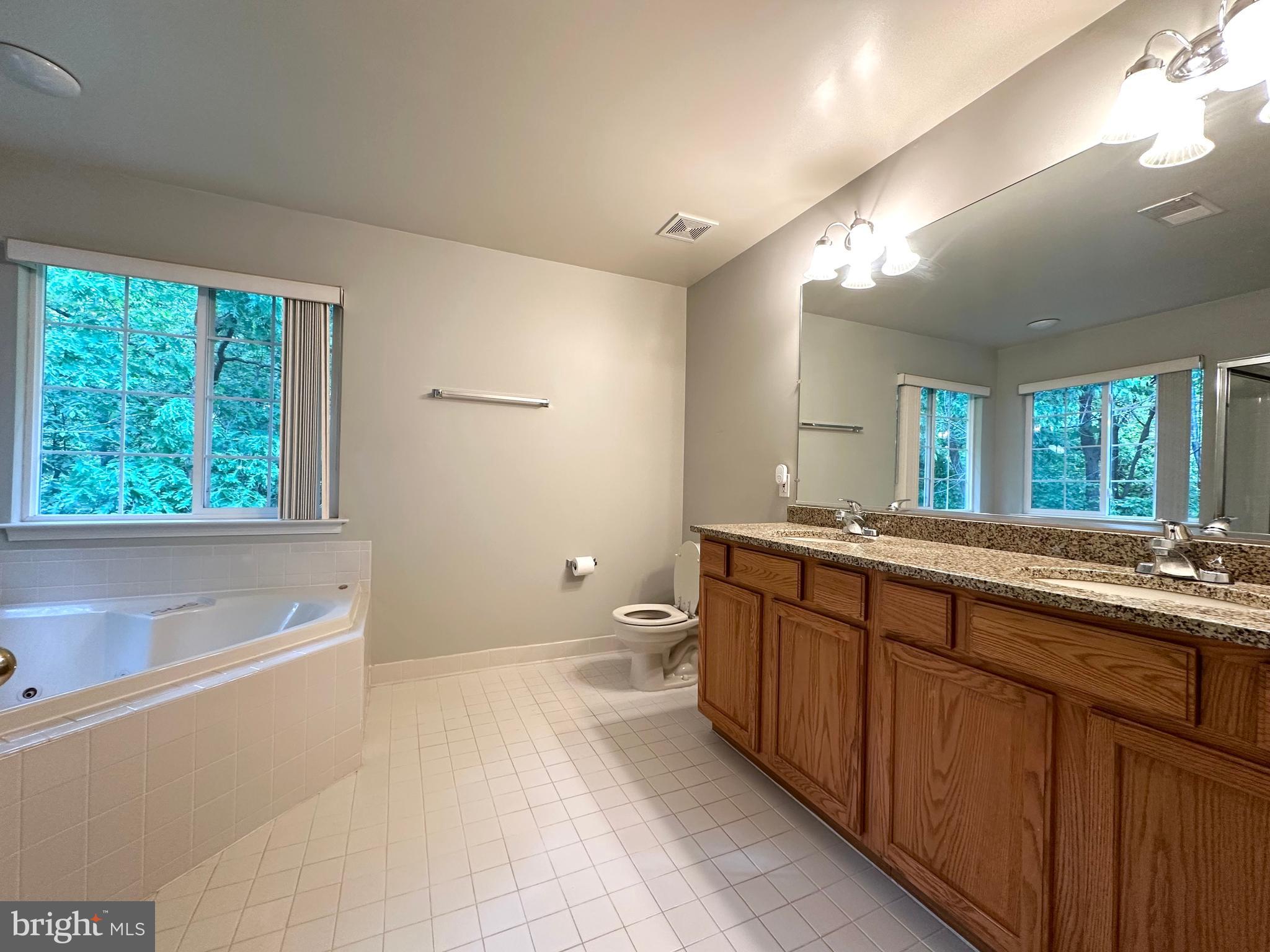 18100 Truffle Lane Boyds, MD 20841 - Photo 29 of 39 a spacious bathroom with a granite countertop sink a toilet and a large mirror