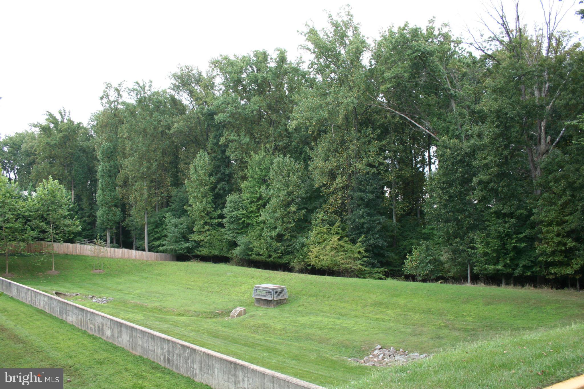 18100 Truffle Lane Boyds, MD 20841 - Photo 38 of 39 a view of a field with a trees in the background