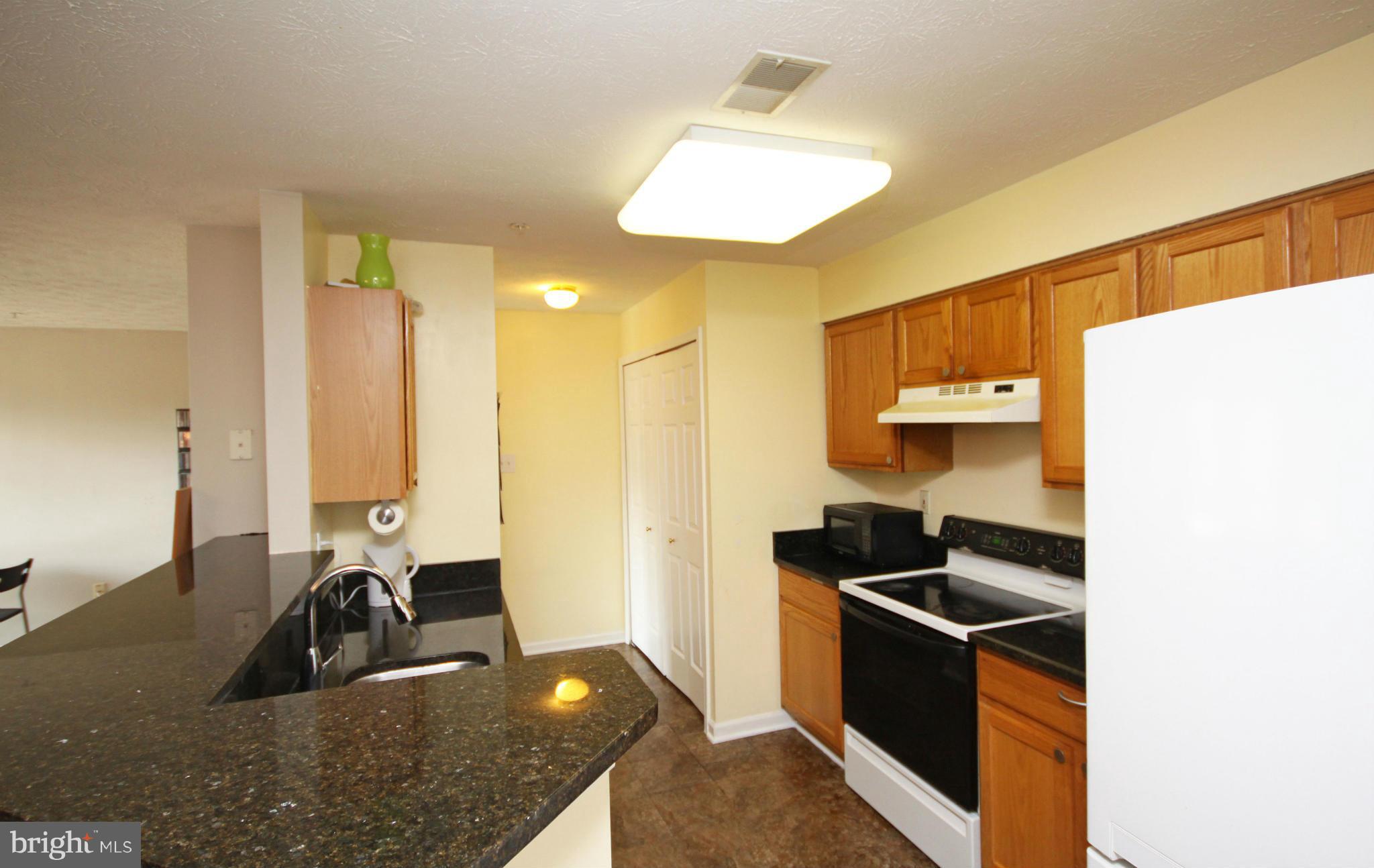 9727 Reese Farm Road Owings Mills, MD 21117 - Photo 3 of 30 Kitchen