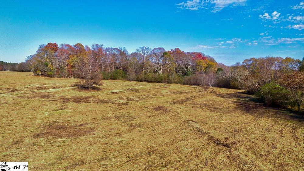 615 Fowler Road Simpsonville, SC 29681 - Photo 11 of 17