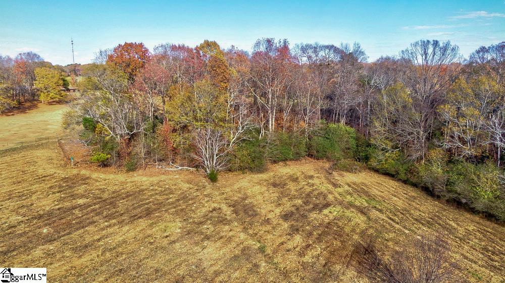 615 Fowler Road Simpsonville, SC 29681 - Photo 10 of 17