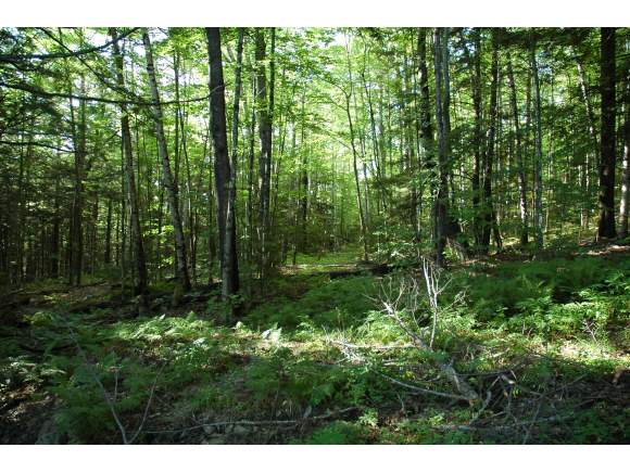 12 Switchback Way Jackson, NH 03846 - Photo 1 of 1