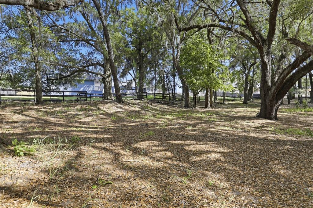 9733 Southwest 104th Lane Gainesville, FL 32608 - Photo 64 of 72