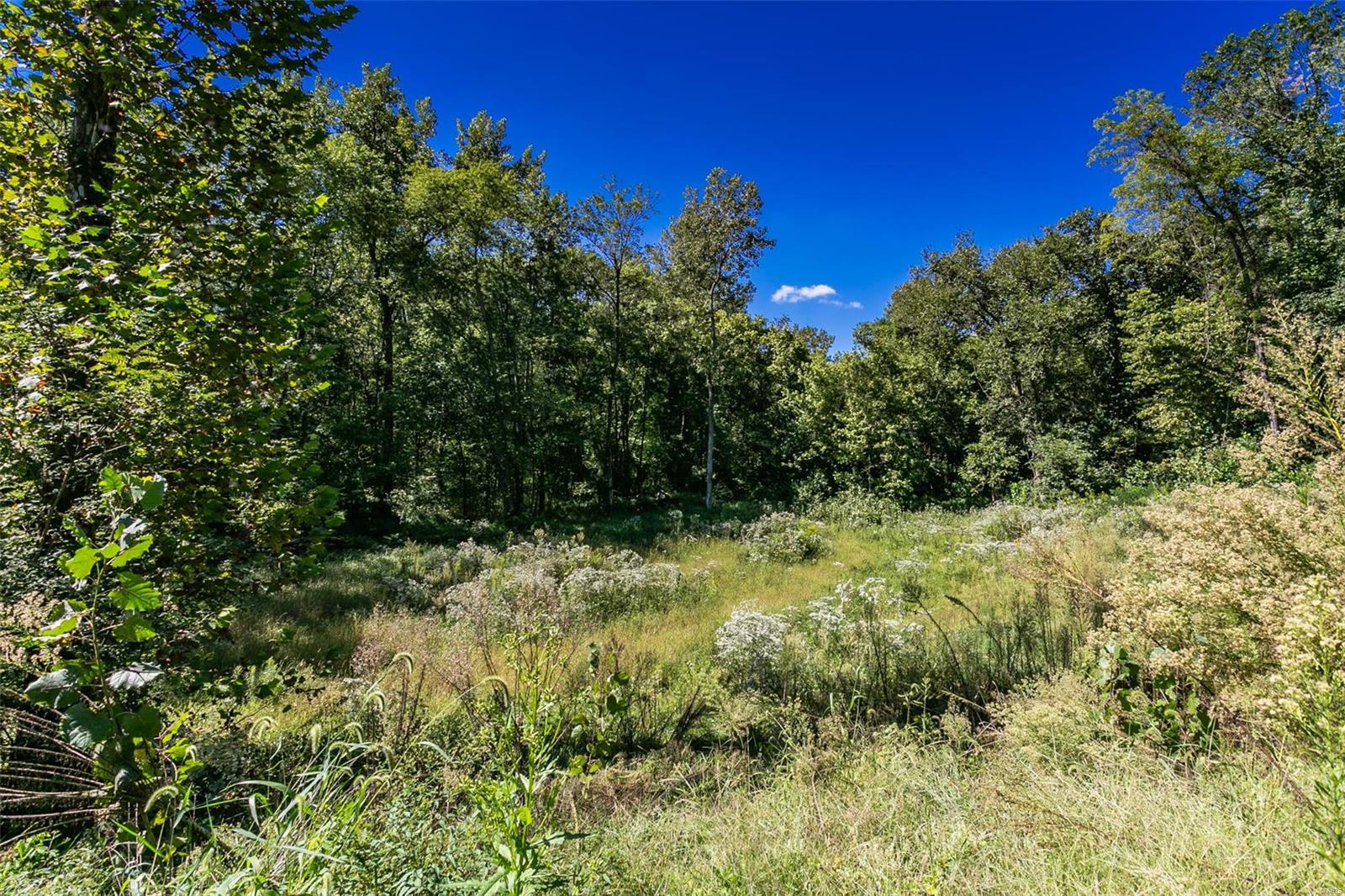 8010 Possum Hill Road Worden, IL 62097 - Photo 39 of 41