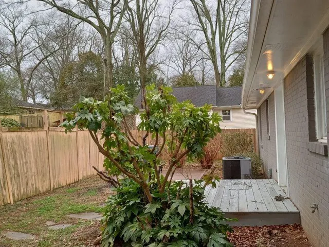a view of a back yard of the house
