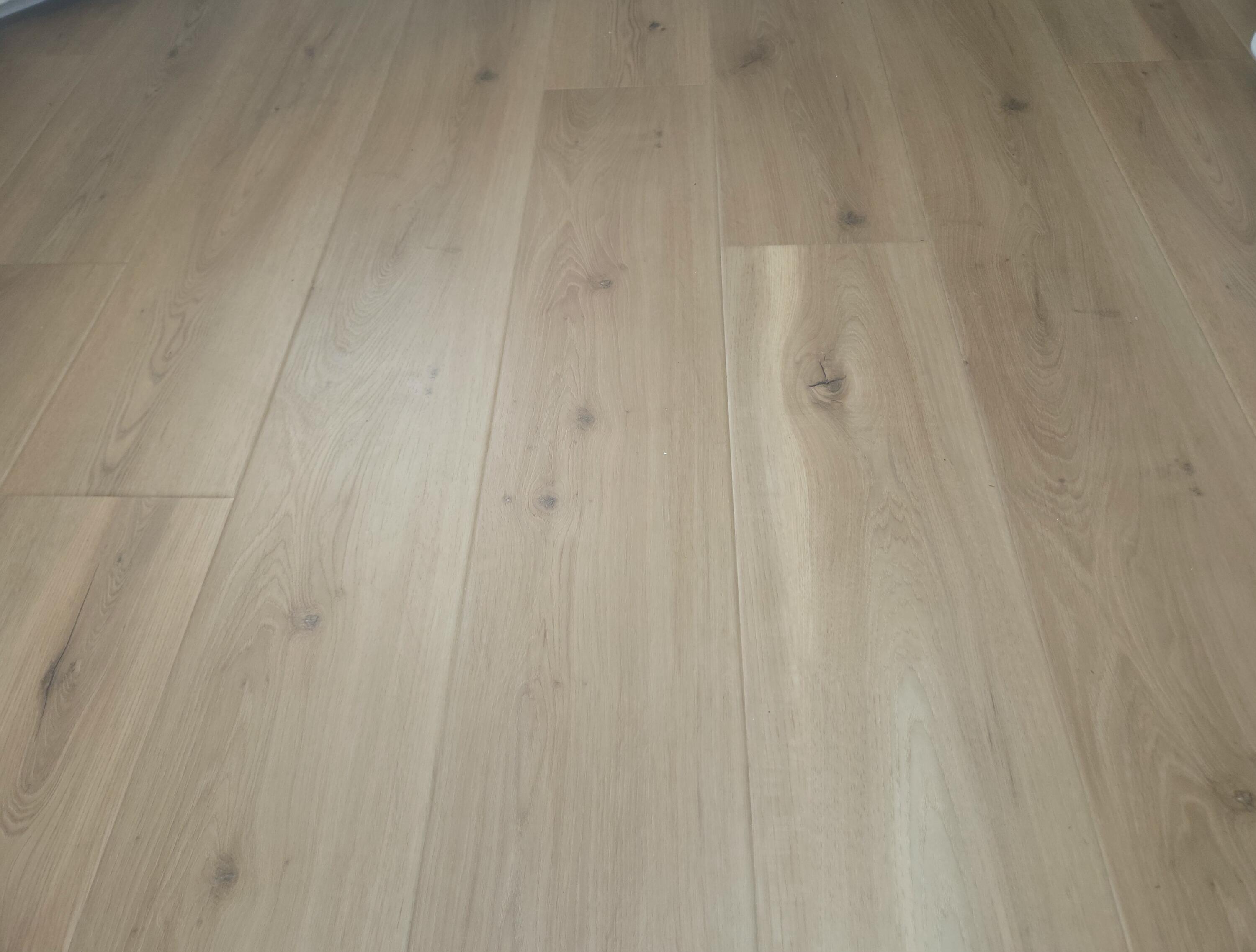 15058 Dixie Redford, MI 48239 - Photo 11 of 43 1000066581