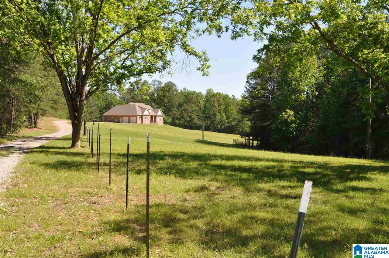 6529 Water Works Road Mount Olive, AL 35117 - Photo 4 of 50 Gallery Image 4
