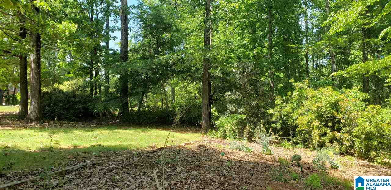 77 Shades Crest Road Hoover, AL 35226 - Photo 29 of 29
