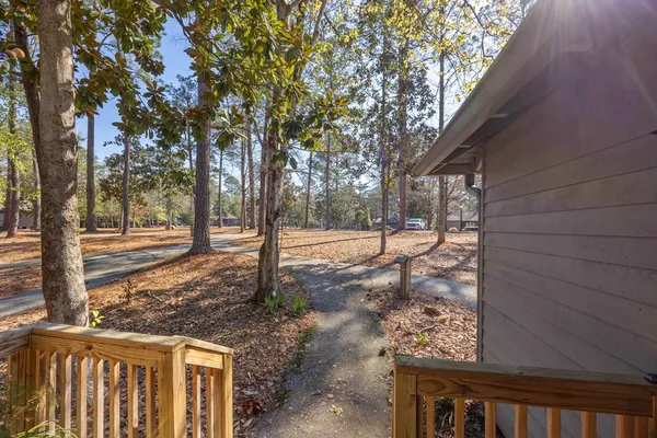 a view of a yard with trees