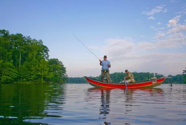 a view of a lake
