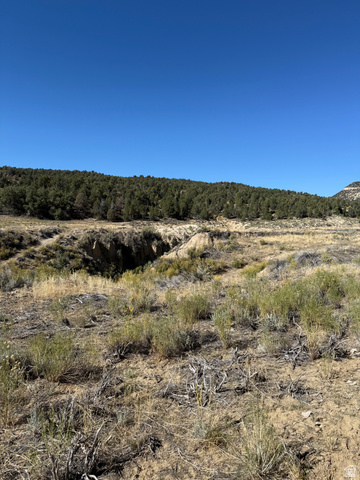 3 Mineral Springs Road Mount Carmel, UT 84755 - Photo 4 of 11