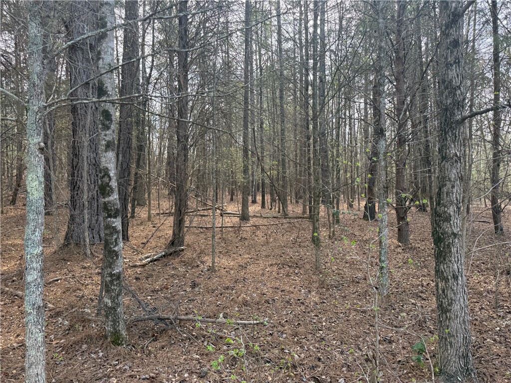 0 Holland Ford Road Pelzer, SC 29669 - Photo 34 of 35