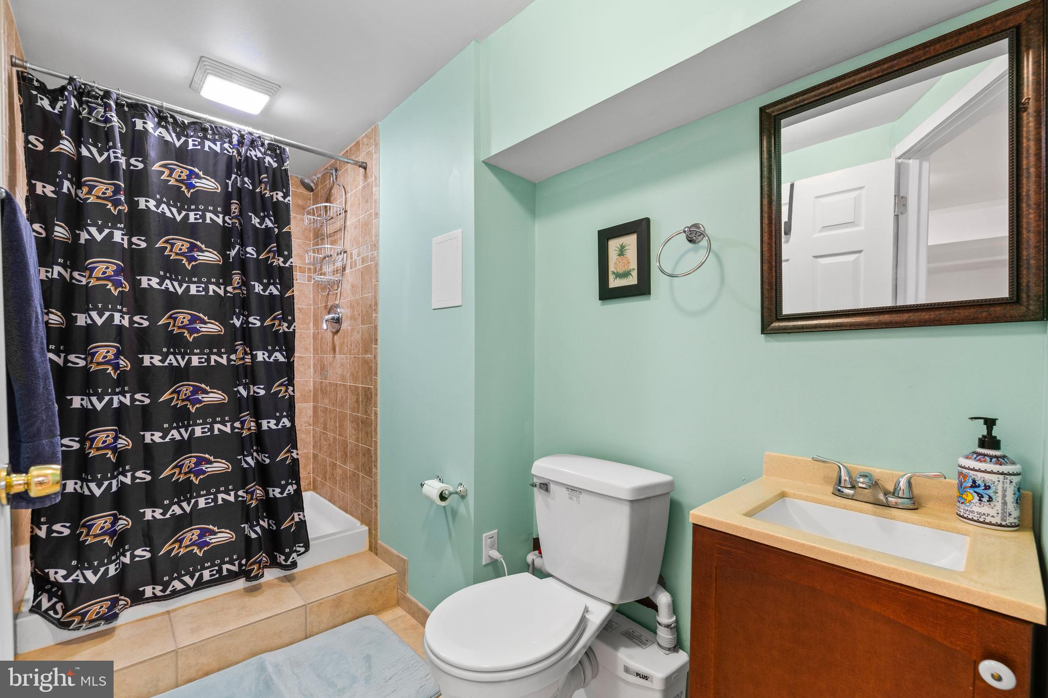 3809 Sweet Air Road Phoenix, MD 21131 - Photo 29 of 54 Lower level #3 full bath