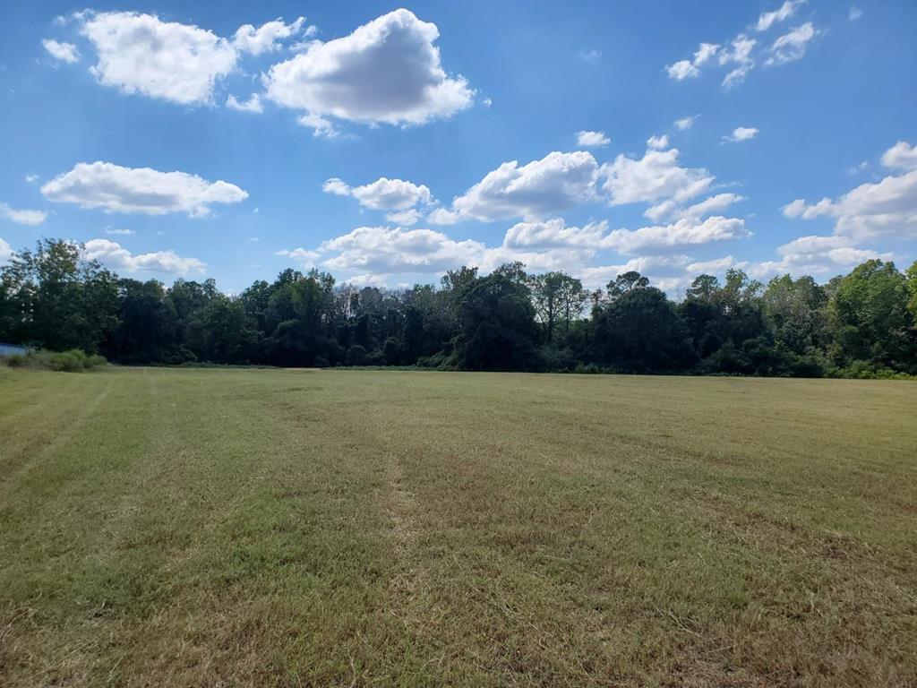1243 Scott Road Slocomb, AL 36375 - Photo 1 of 10