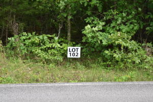 Lot 106 Treasure Tree Road Ten Mile, TN 37880 - Photo 1 of 1 106