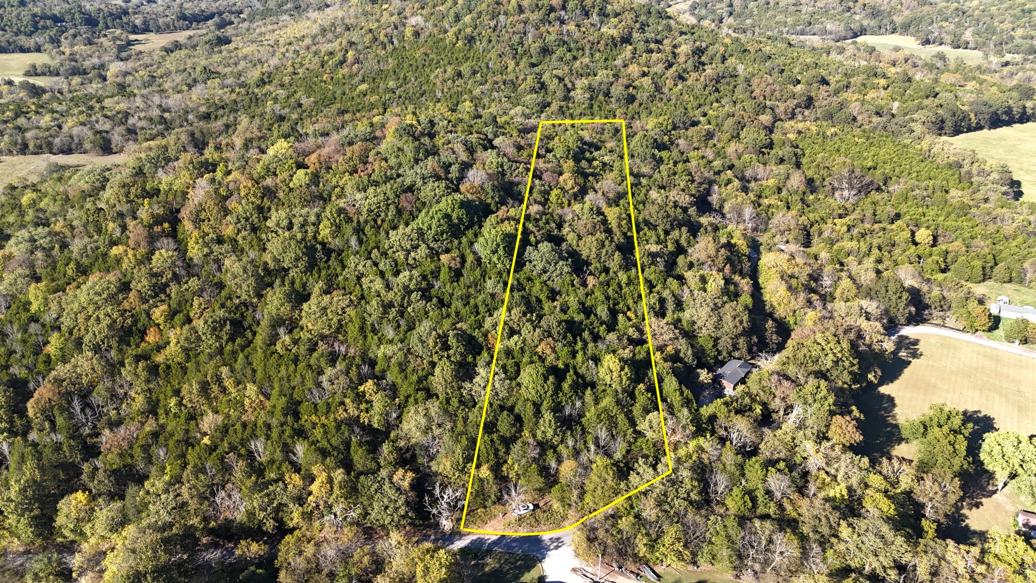 0 Celsor Road Hartsville, TN 37074 - Photo 1 of 27 a view of a yard with a plants and tree