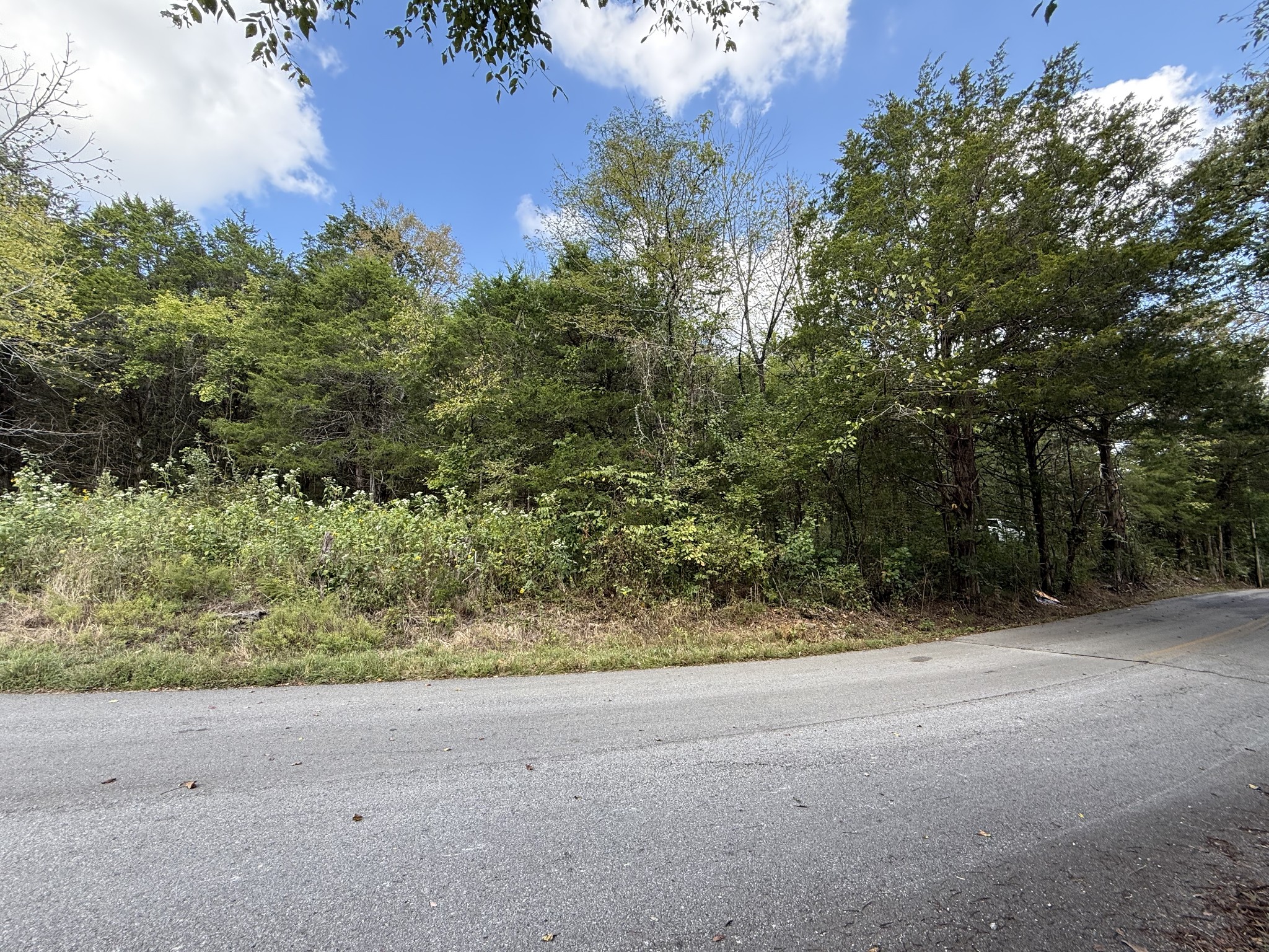 0 Celsor Road Hartsville, TN 37074 - Photo 11 of 27 a view of a yard with a tree