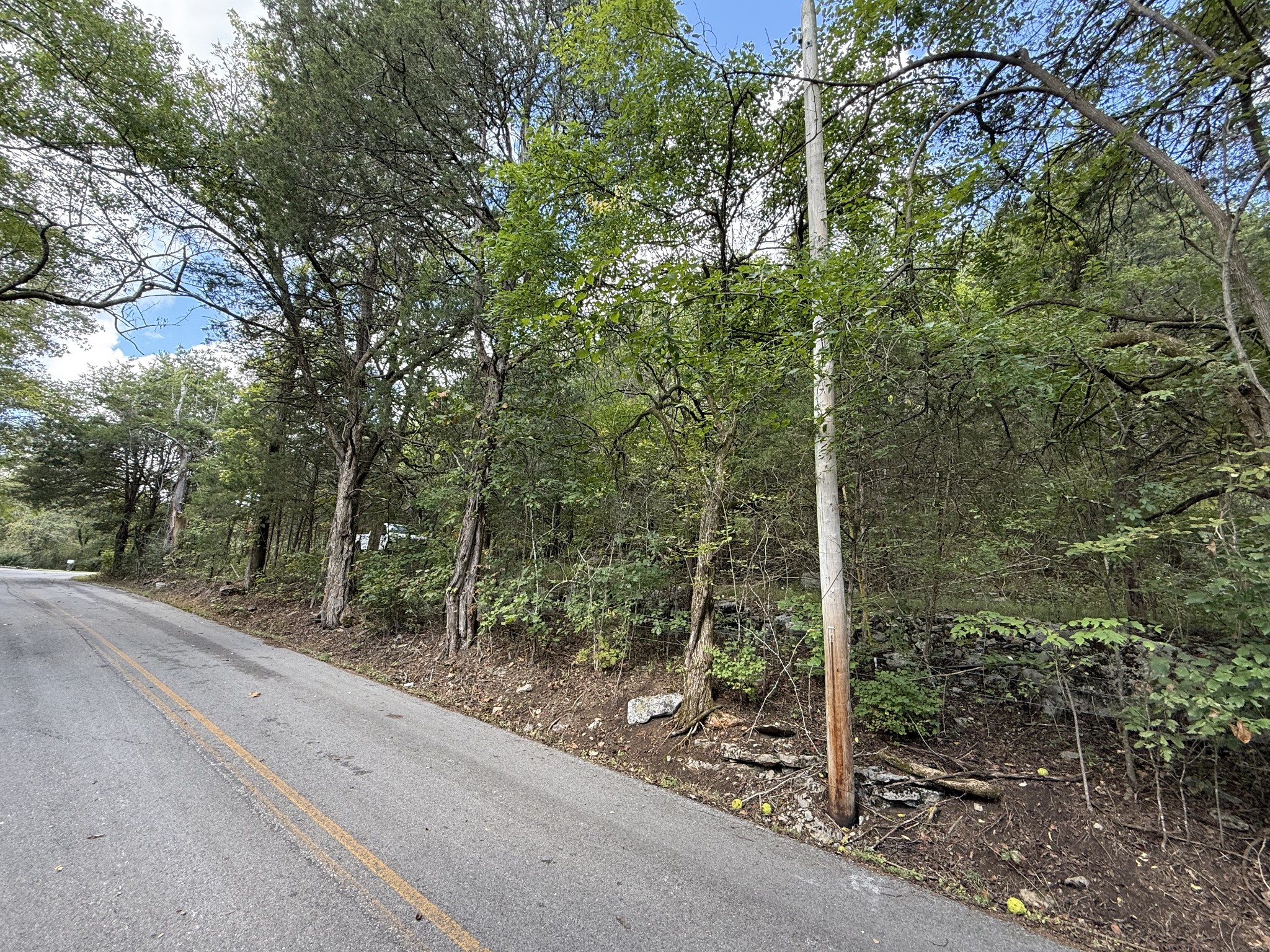 0 Celsor Road Hartsville, TN 37074 - Photo 12 of 27 a view of a forest that has a tree