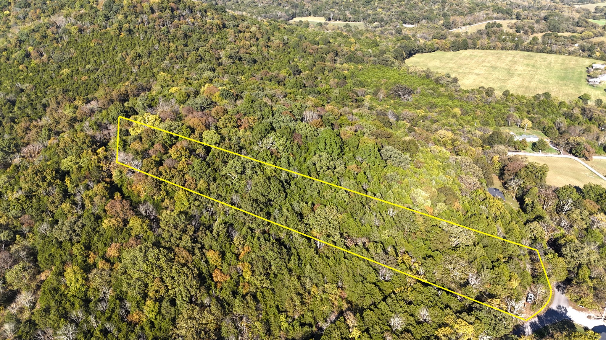 0 Celsor Road Hartsville, TN 37074 - Photo 2 of 27 a view of a yard of the plants and small trees